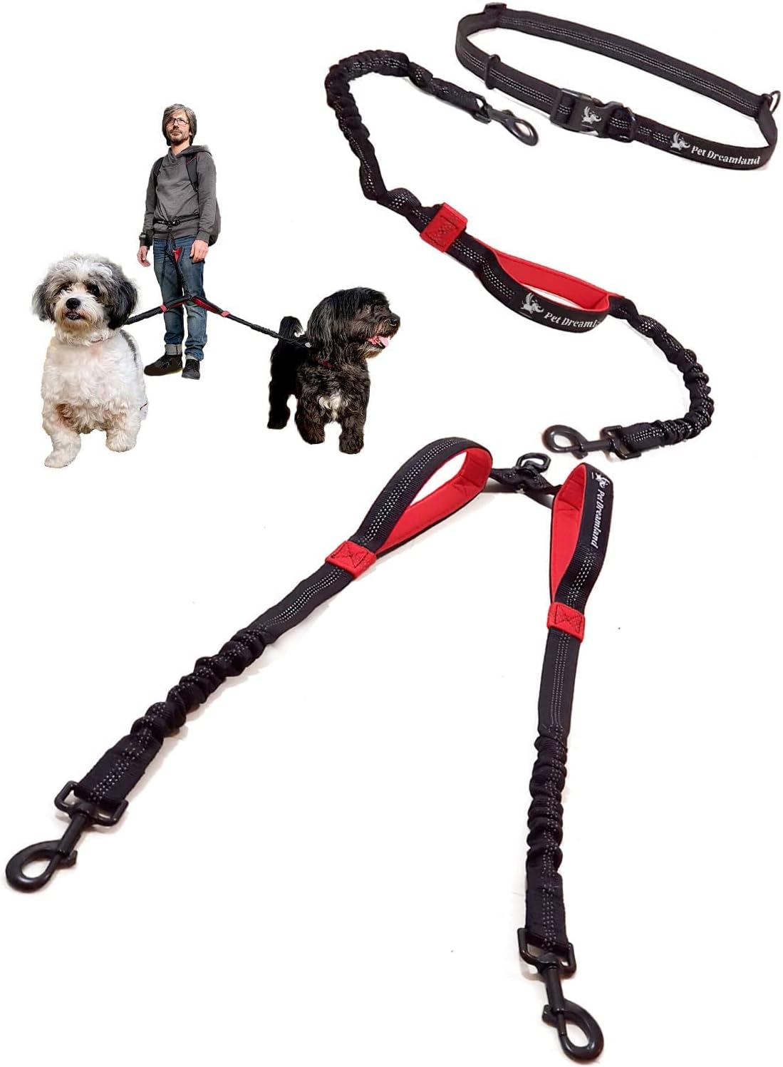 Hands Free Dog Leash for Two Medium Dogs
