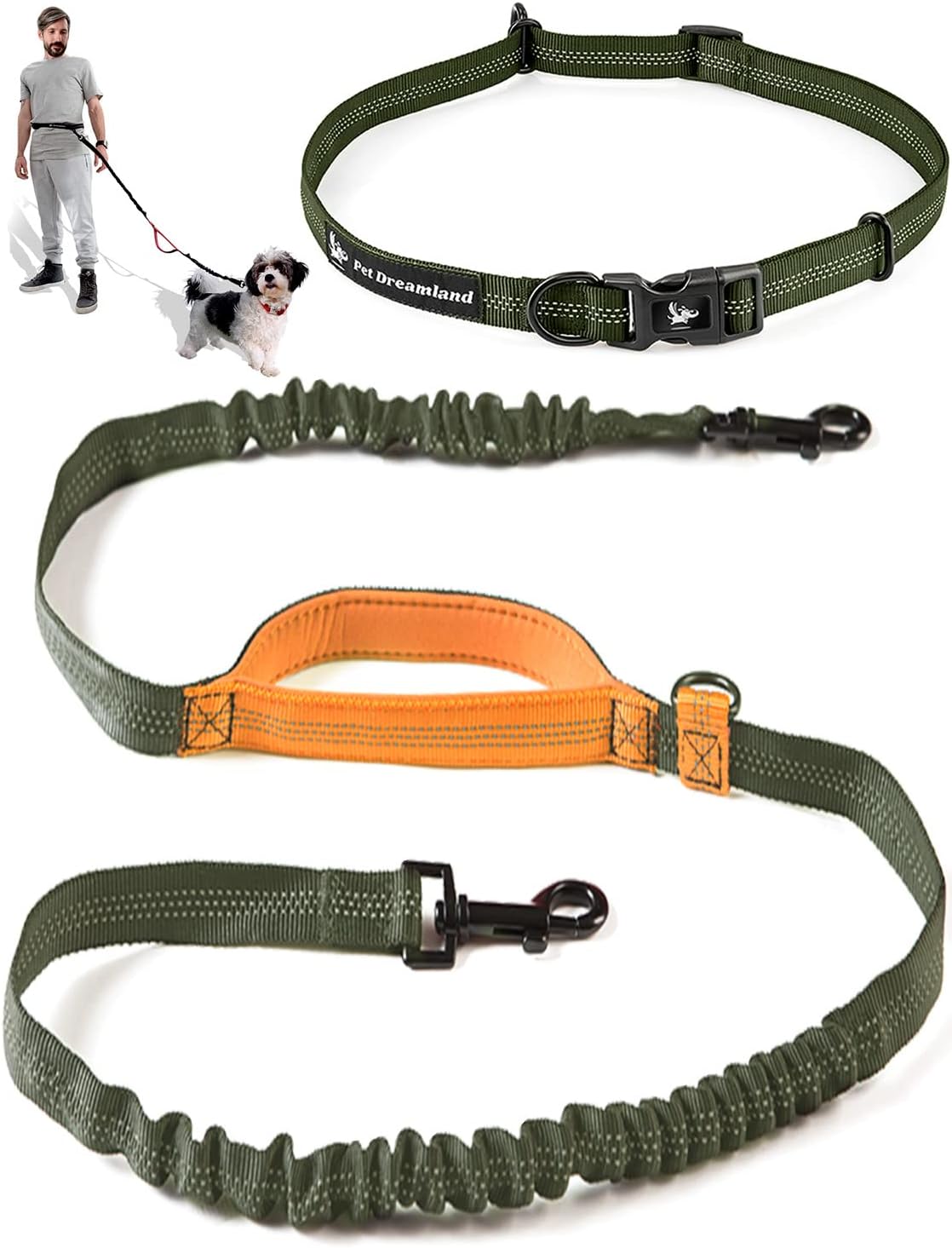 Hands Free Dog Leash for Medium Dogs