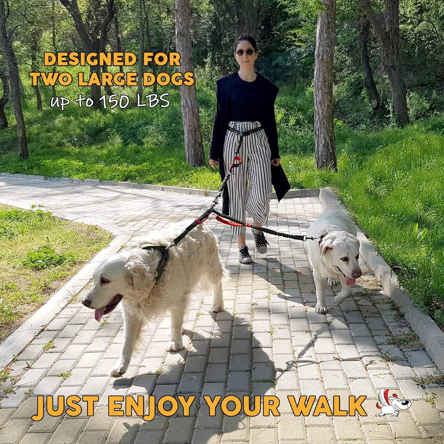 Hands Free Dog Leash for Two Large Dogs