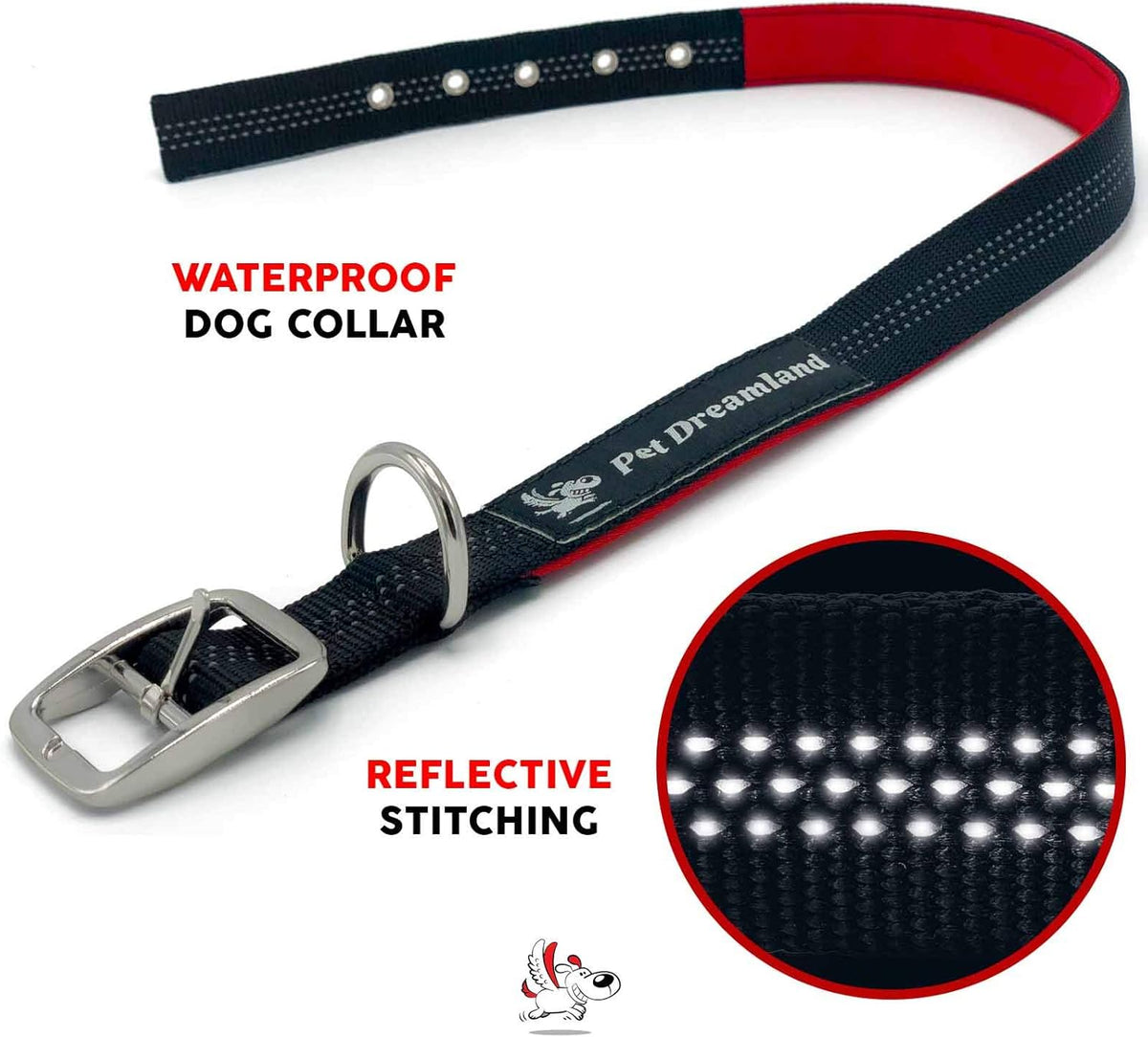 Dog Collar