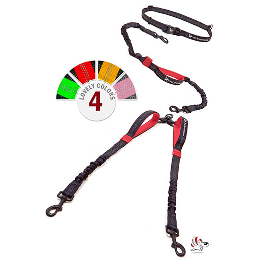 Pets Can Greatly Improve Your Health PetDreamland