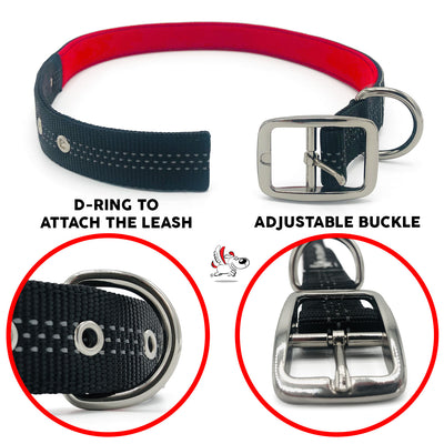 Dog Collar for Small, Medium, and Large Dogs