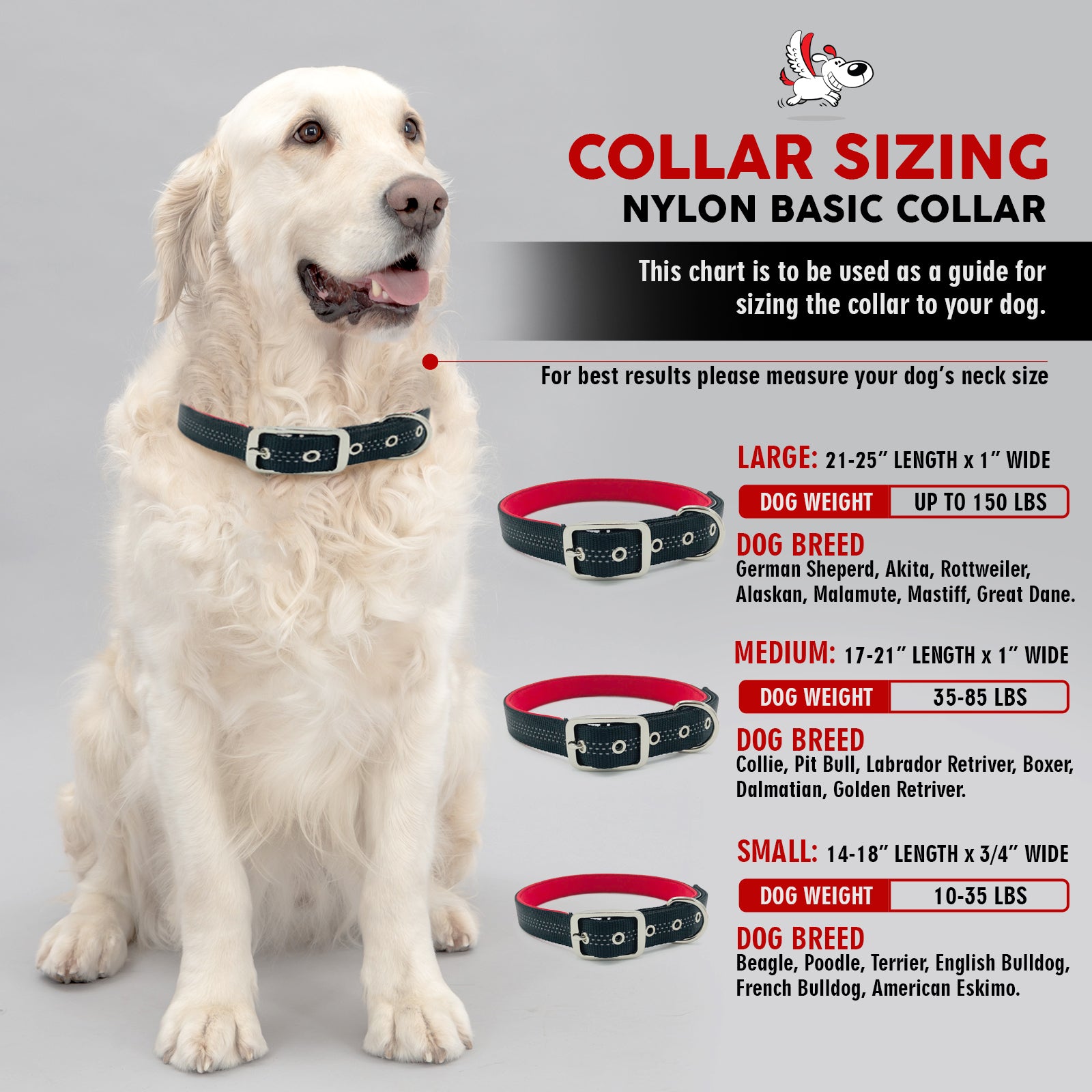 Dog Collar for Small, Medium, and Large Dogs