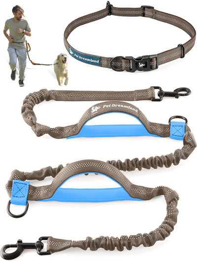 Hands Free Dog Leash for One Large Dog