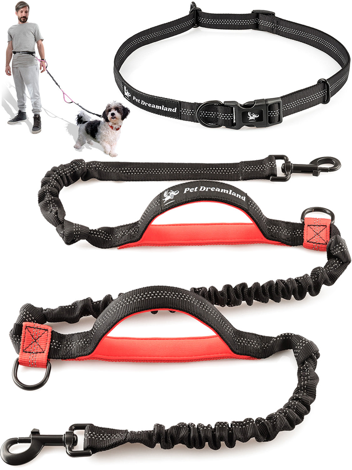 The 8 Best Hands-Free Dog Leashes For Runs and Romps